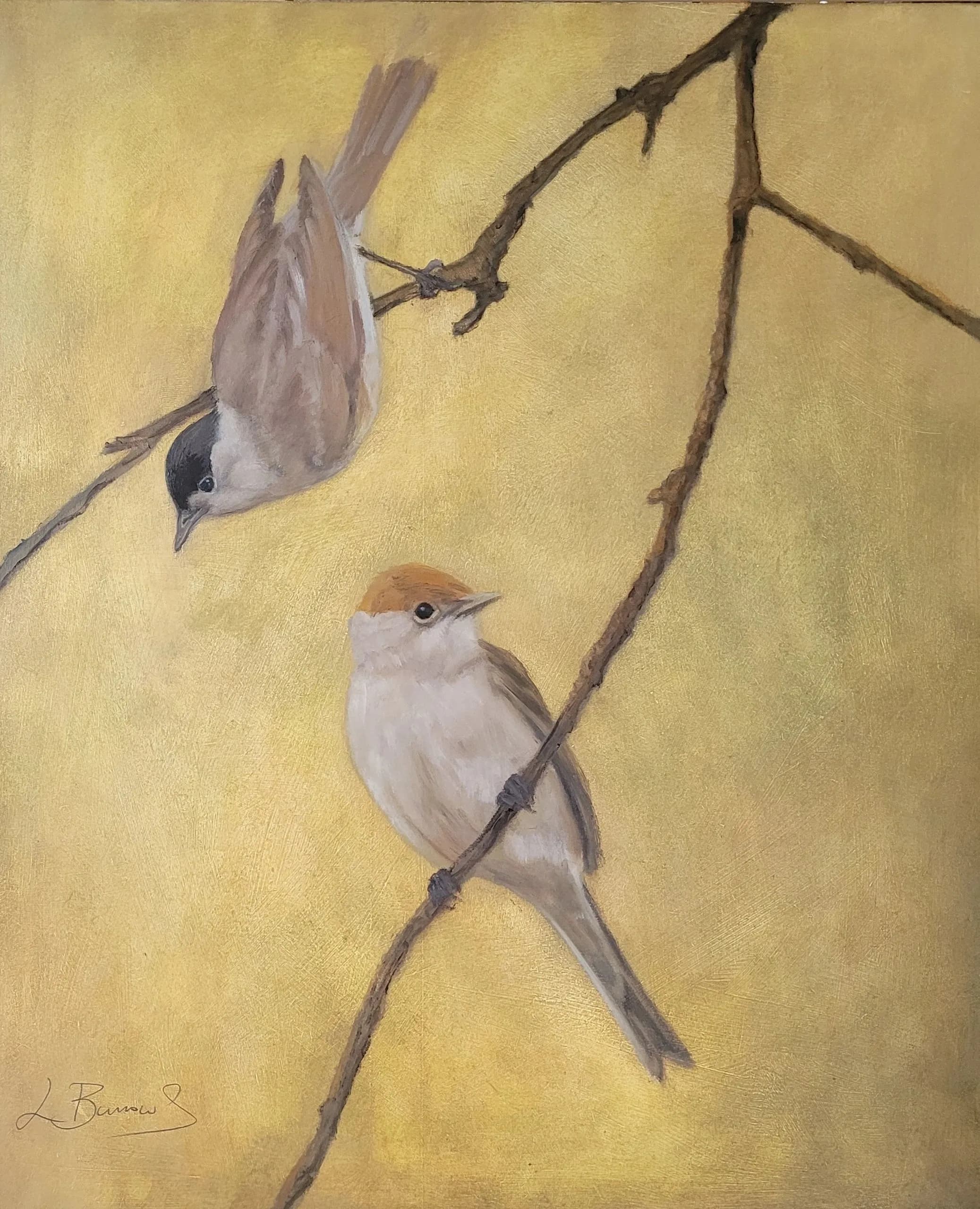 Blackcaps