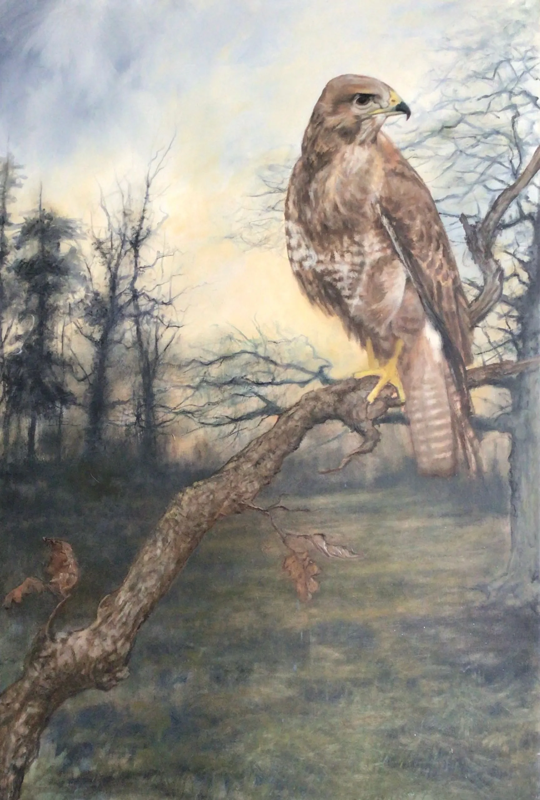 Buzzard