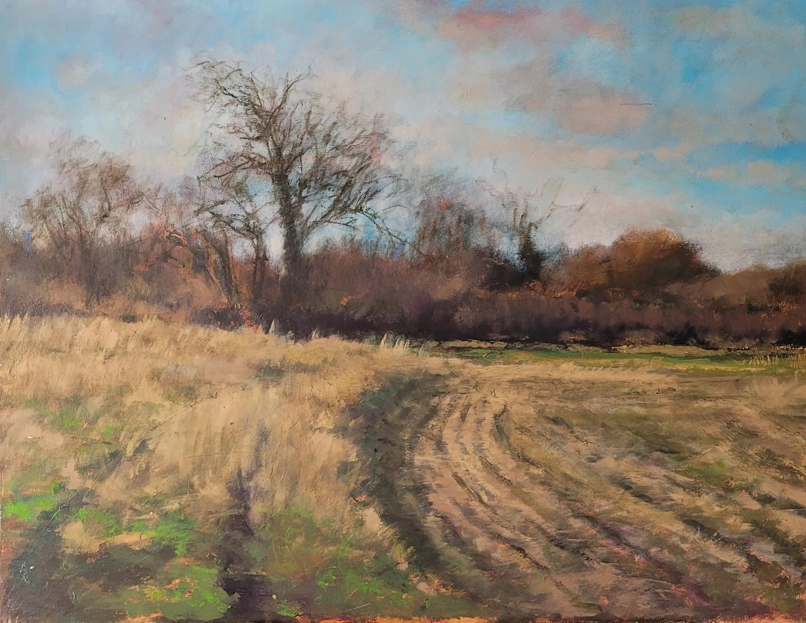 Corner Of A Field Winter, Nr. Merry Tom Lane