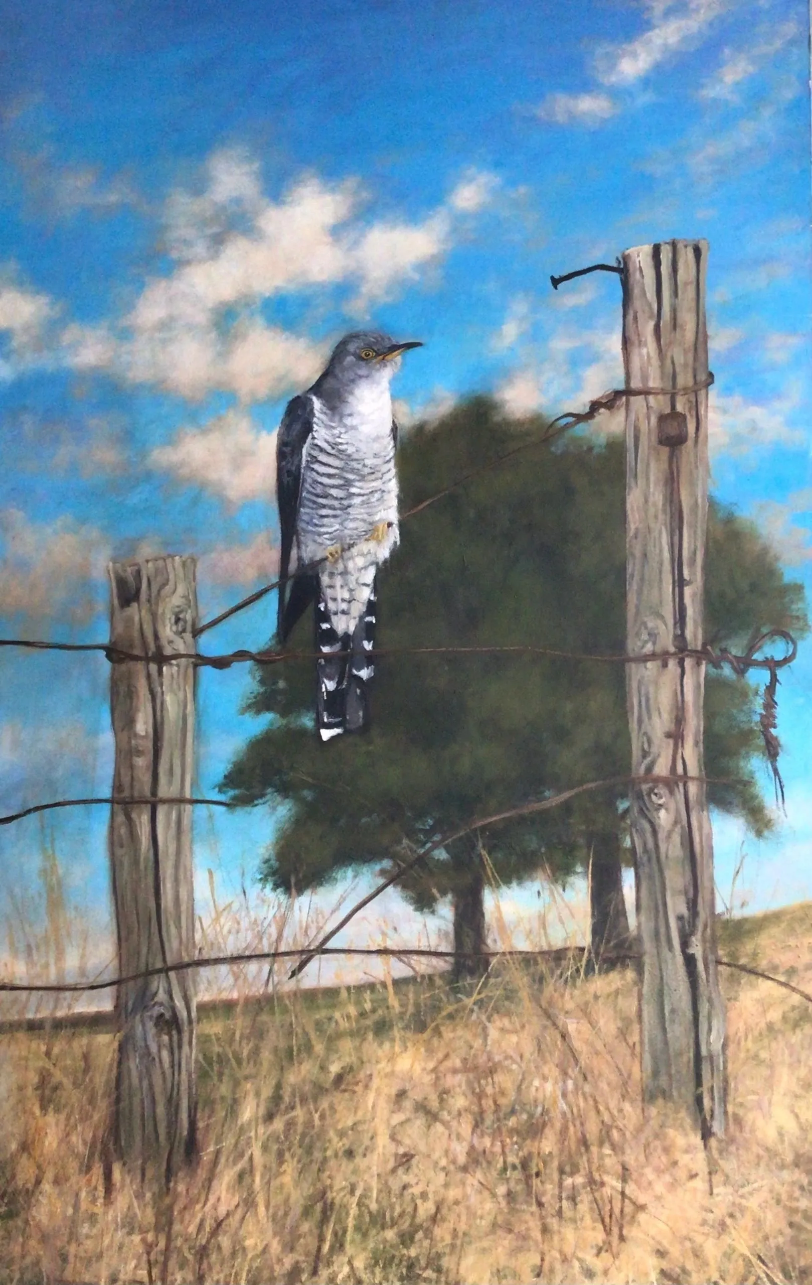 Cuckoo