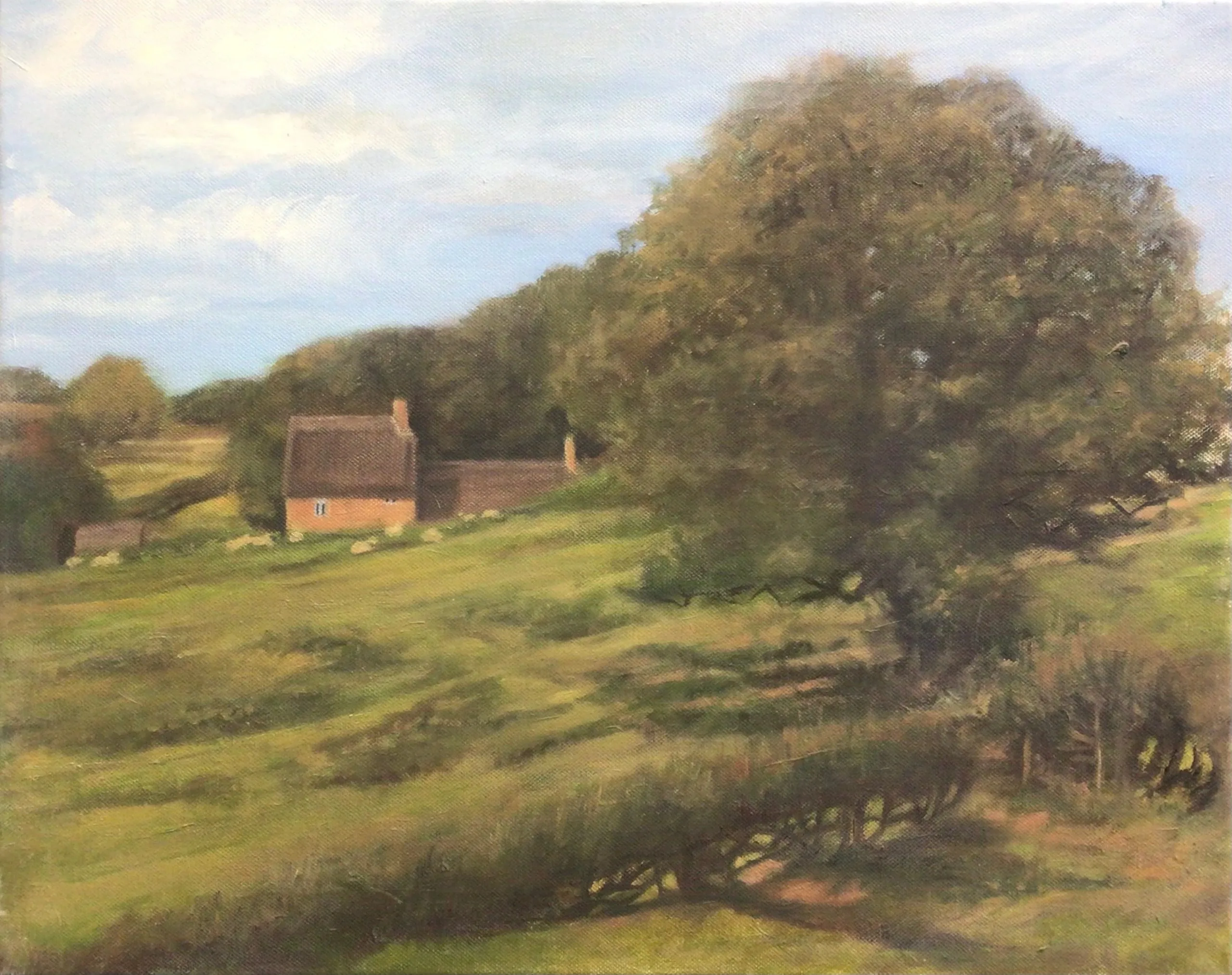 From the Footpath, Upper Harlestone