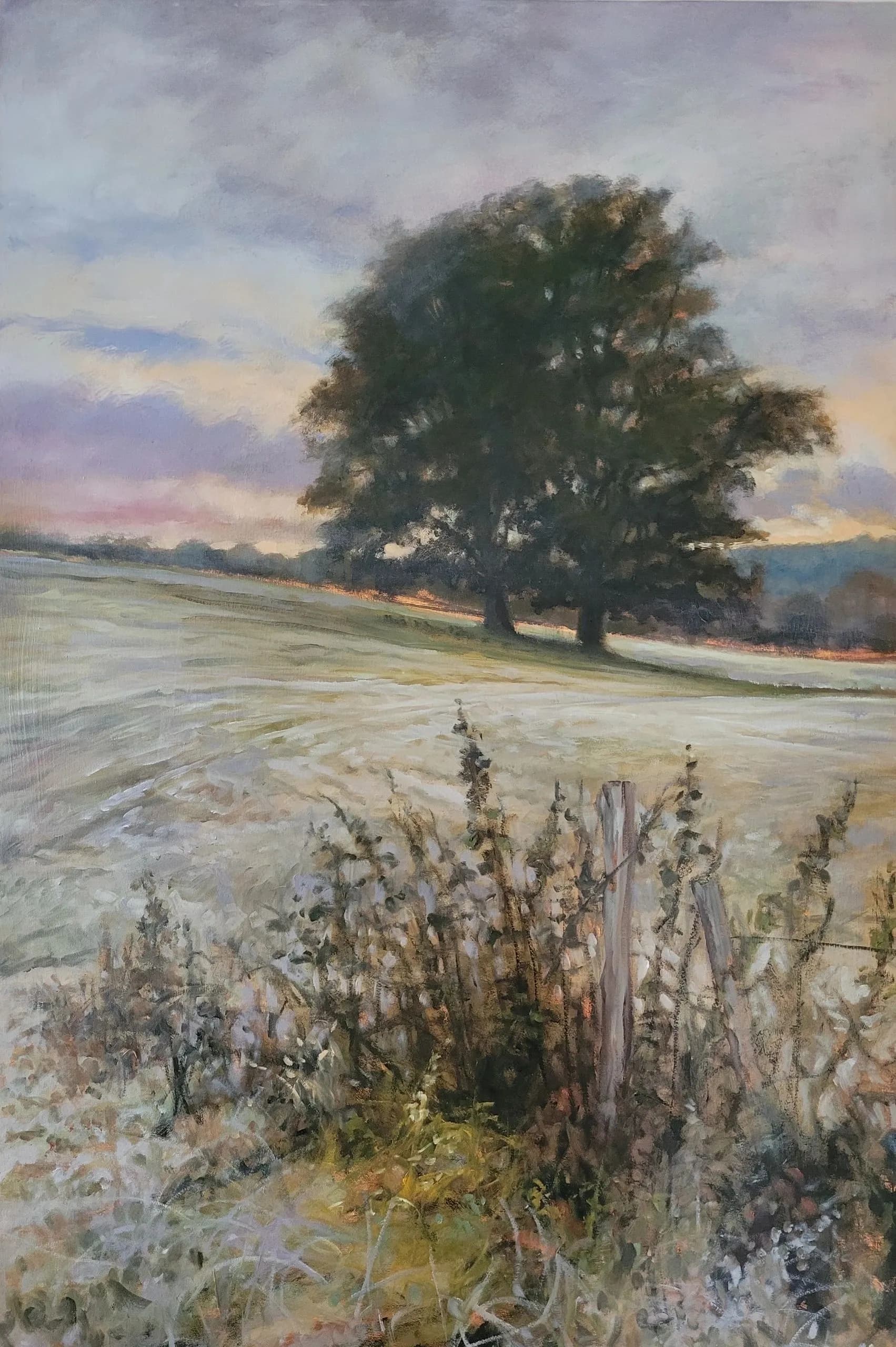 Frosty Morning Upper Harlestone