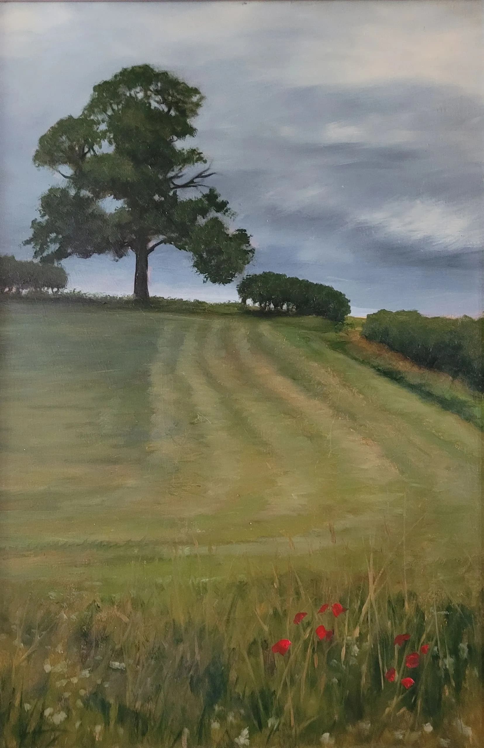 Hayfield After Rain