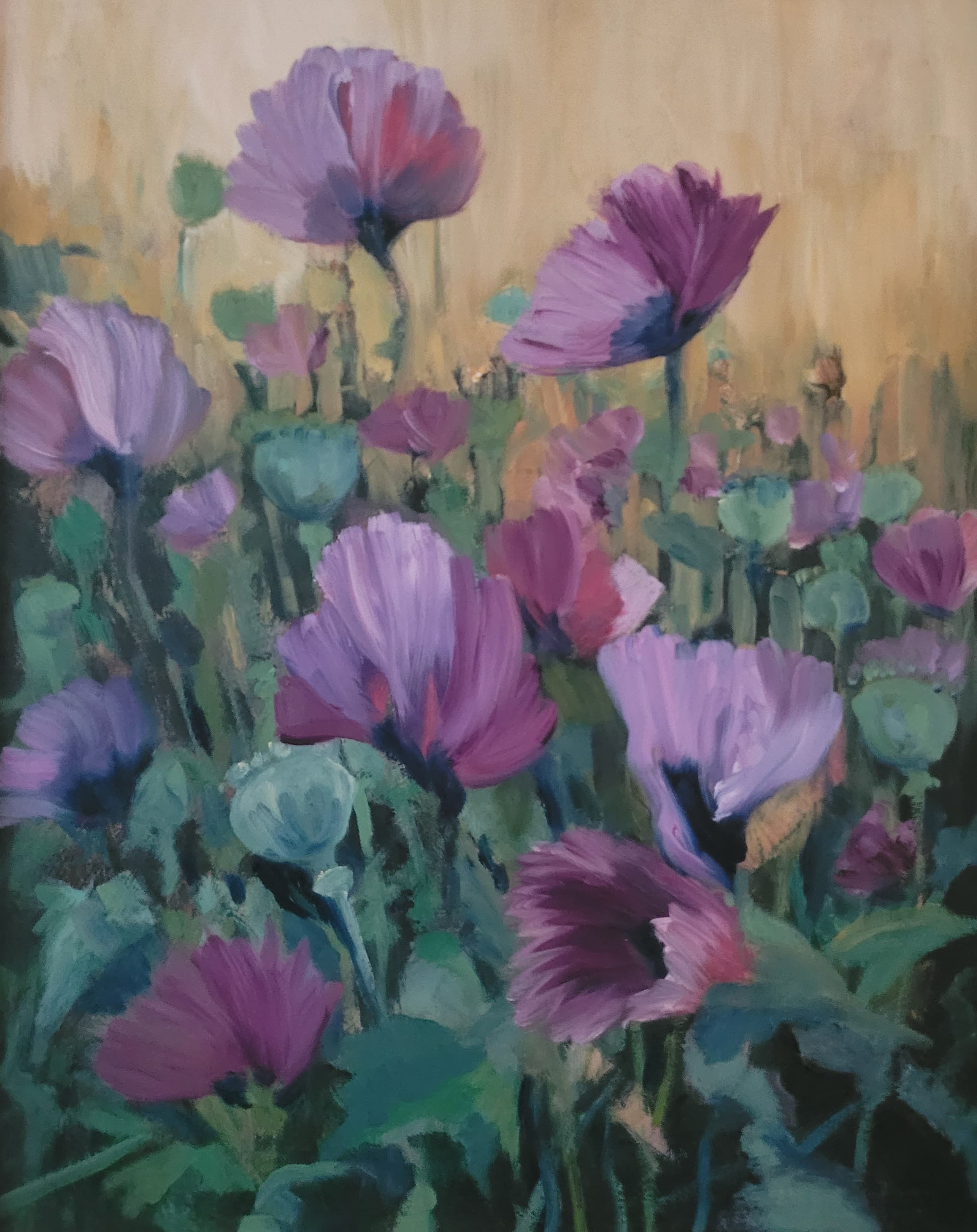 Hollyhocks