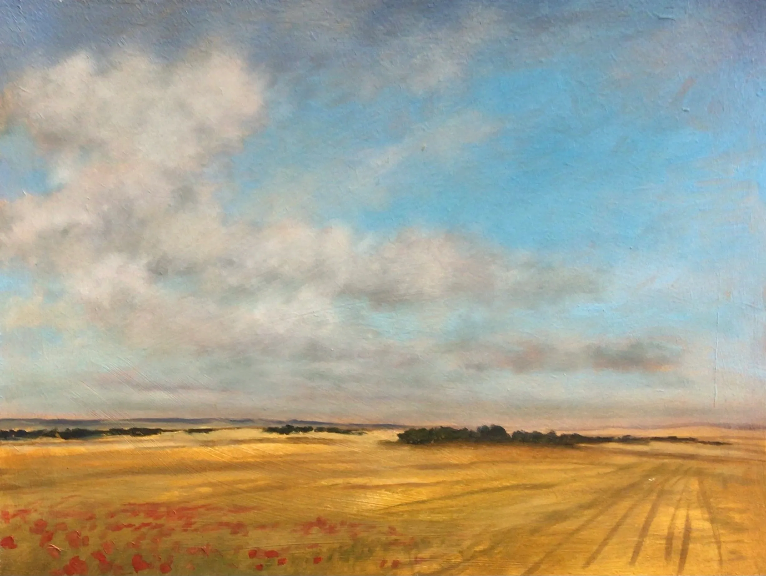 Landscape With Poppies