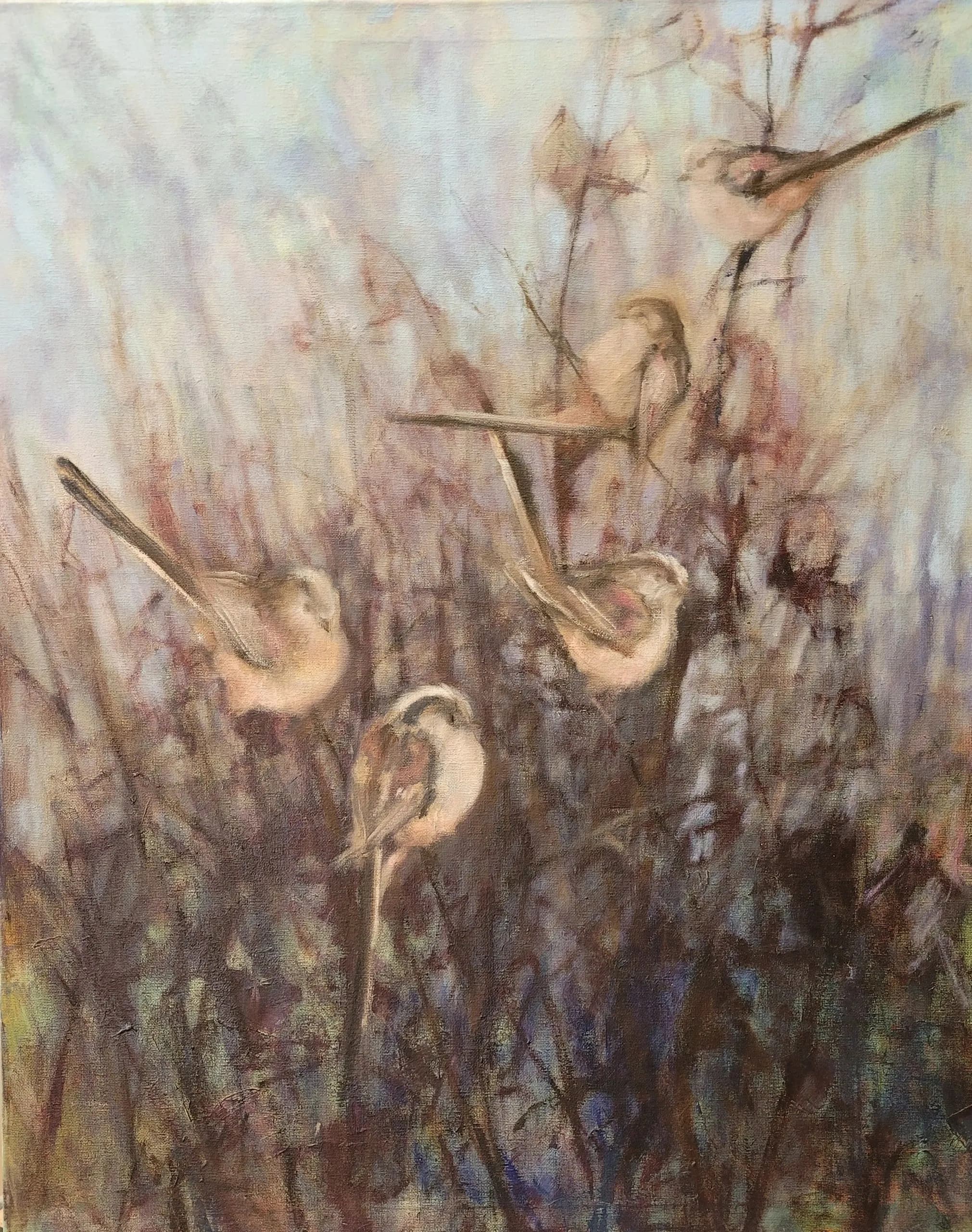 Long Tailed Tits