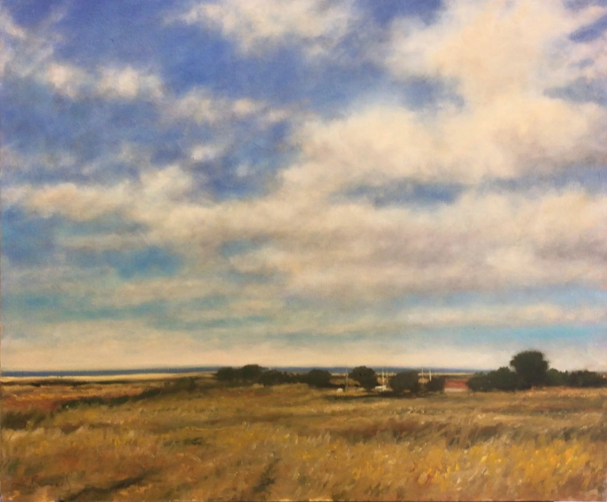 Norfolk Landscape