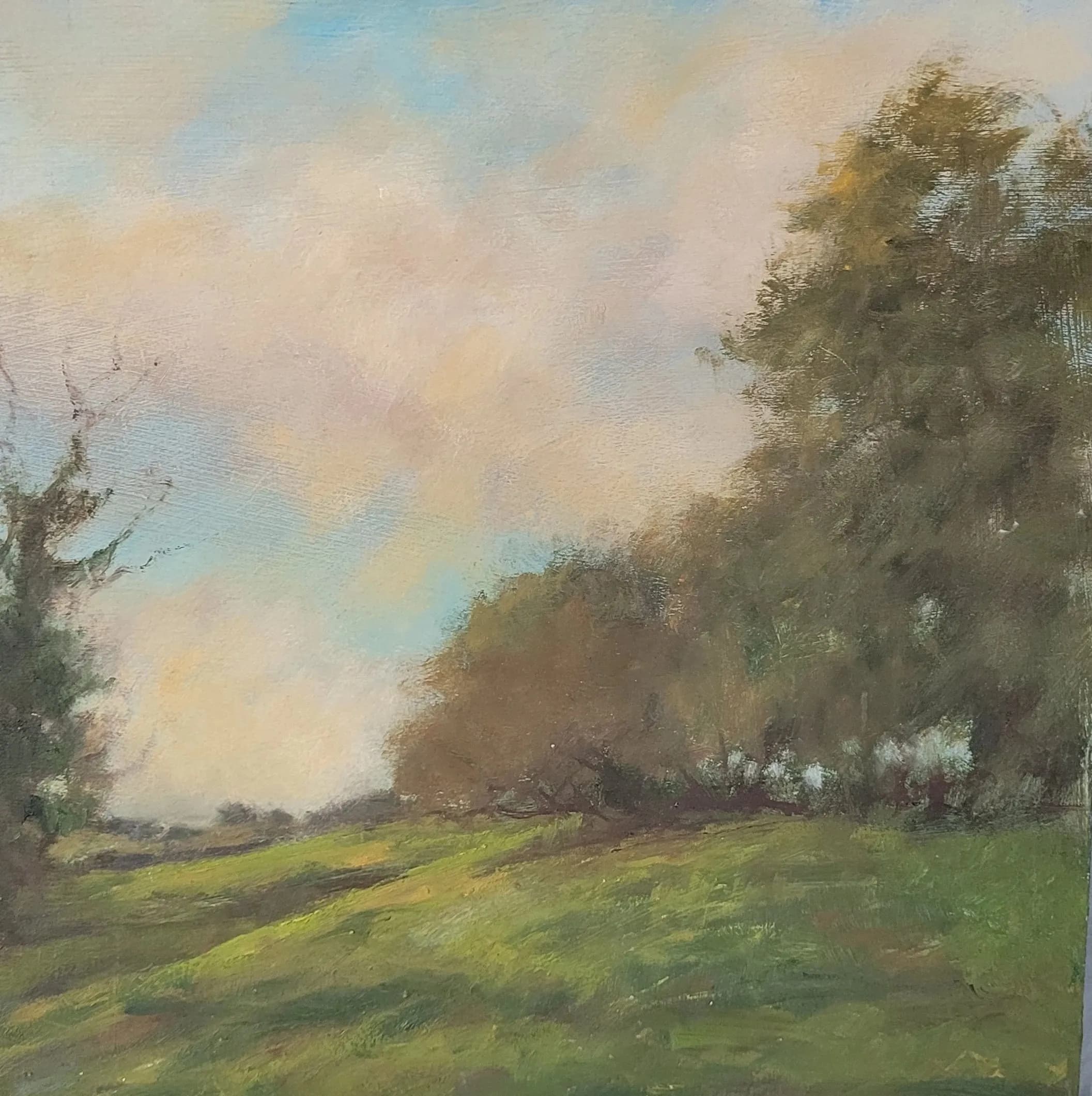 Oil Sketch