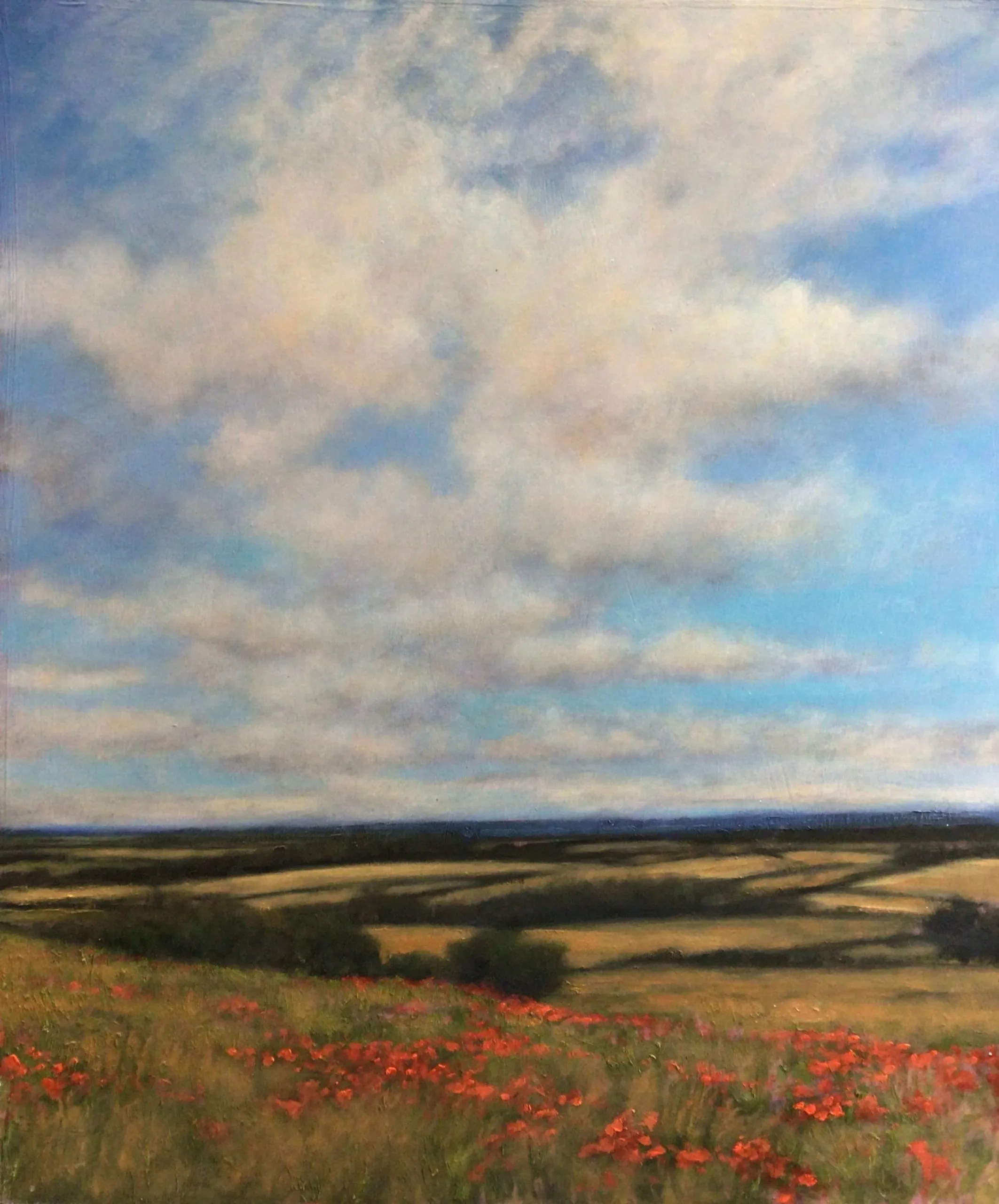 Poppies Near Brixworth 2