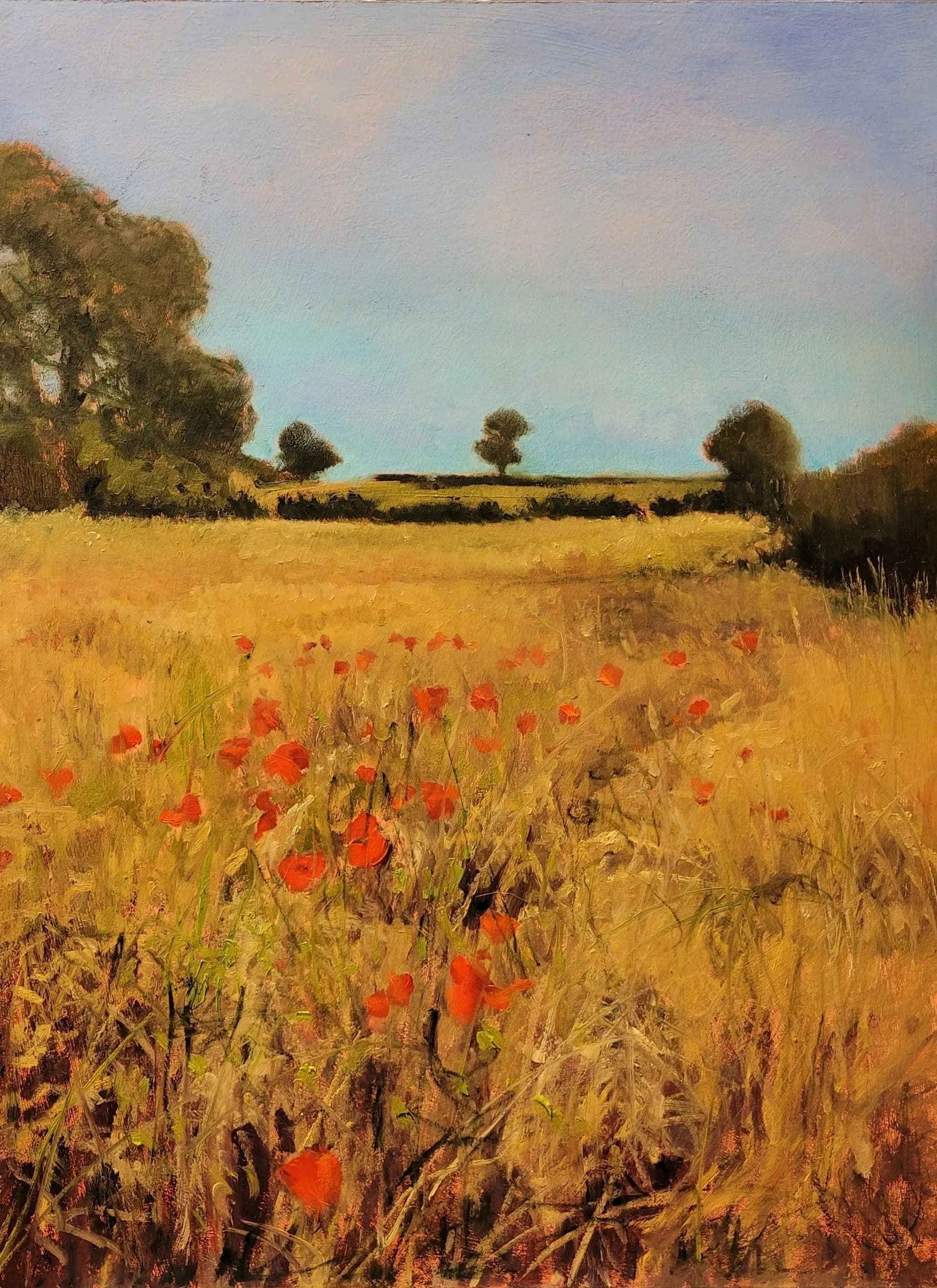 Poppies Towards Whites Lane