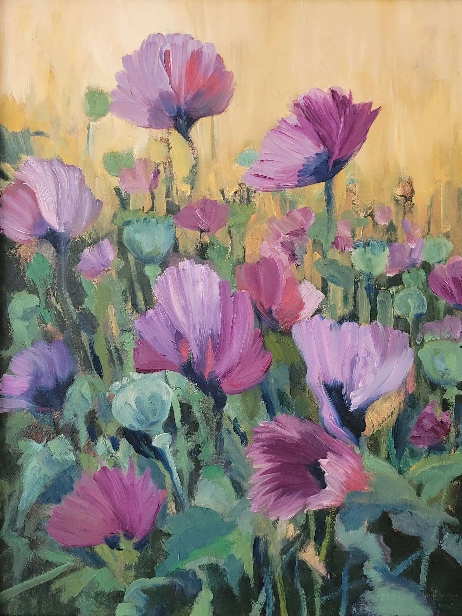 Poppies