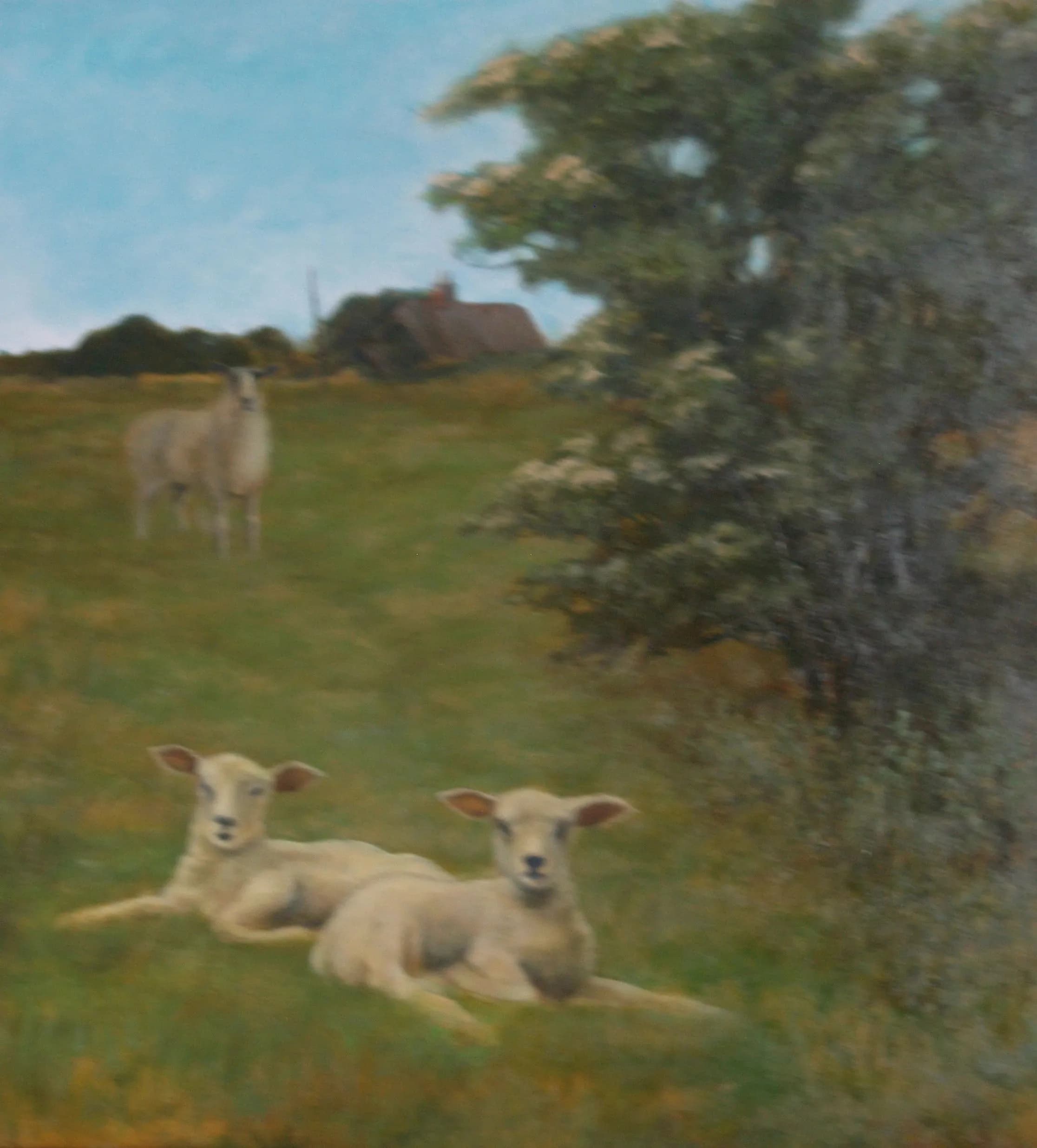 Spring Lambs, Upper Harlestone