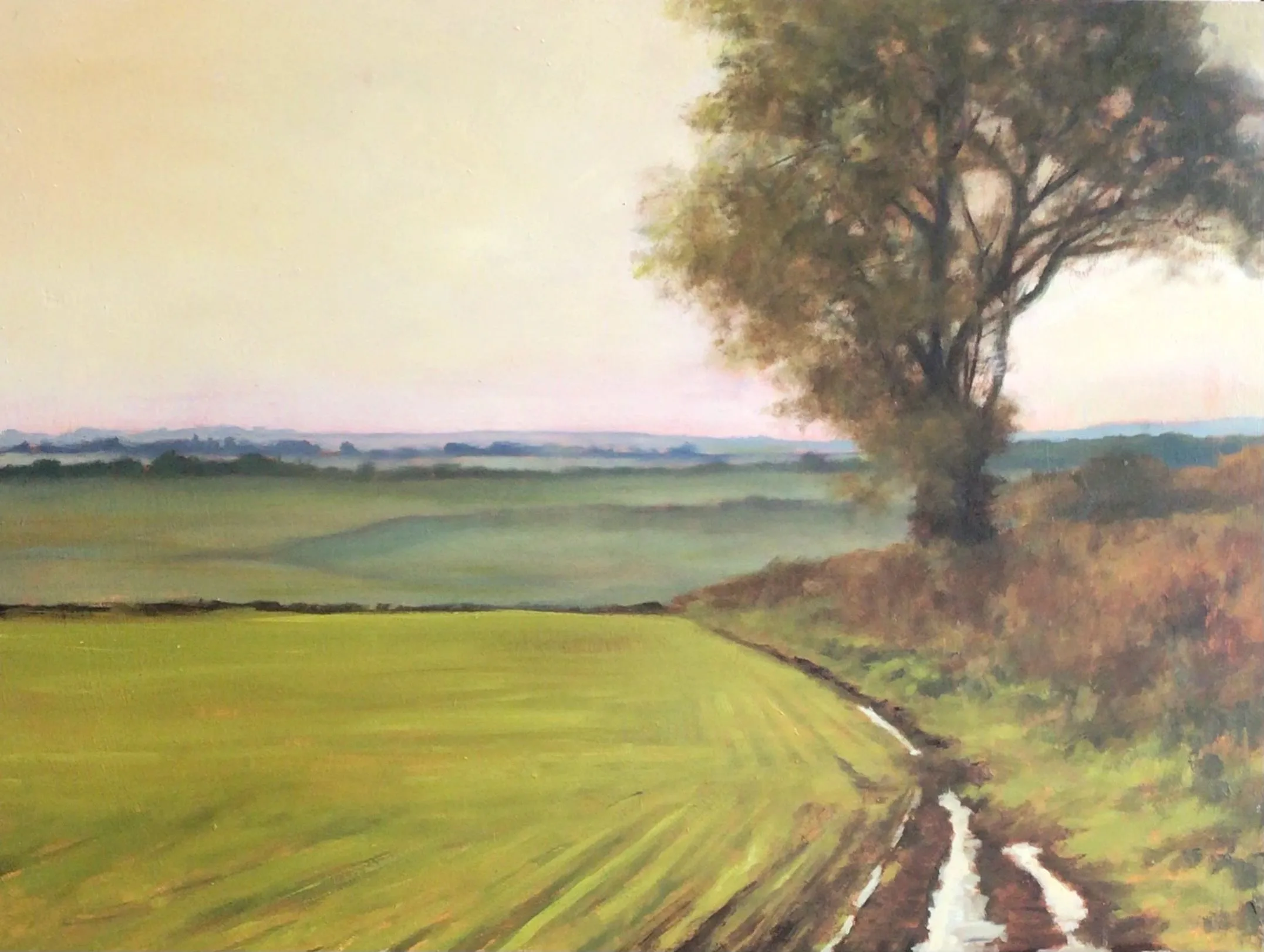 Spring Light
