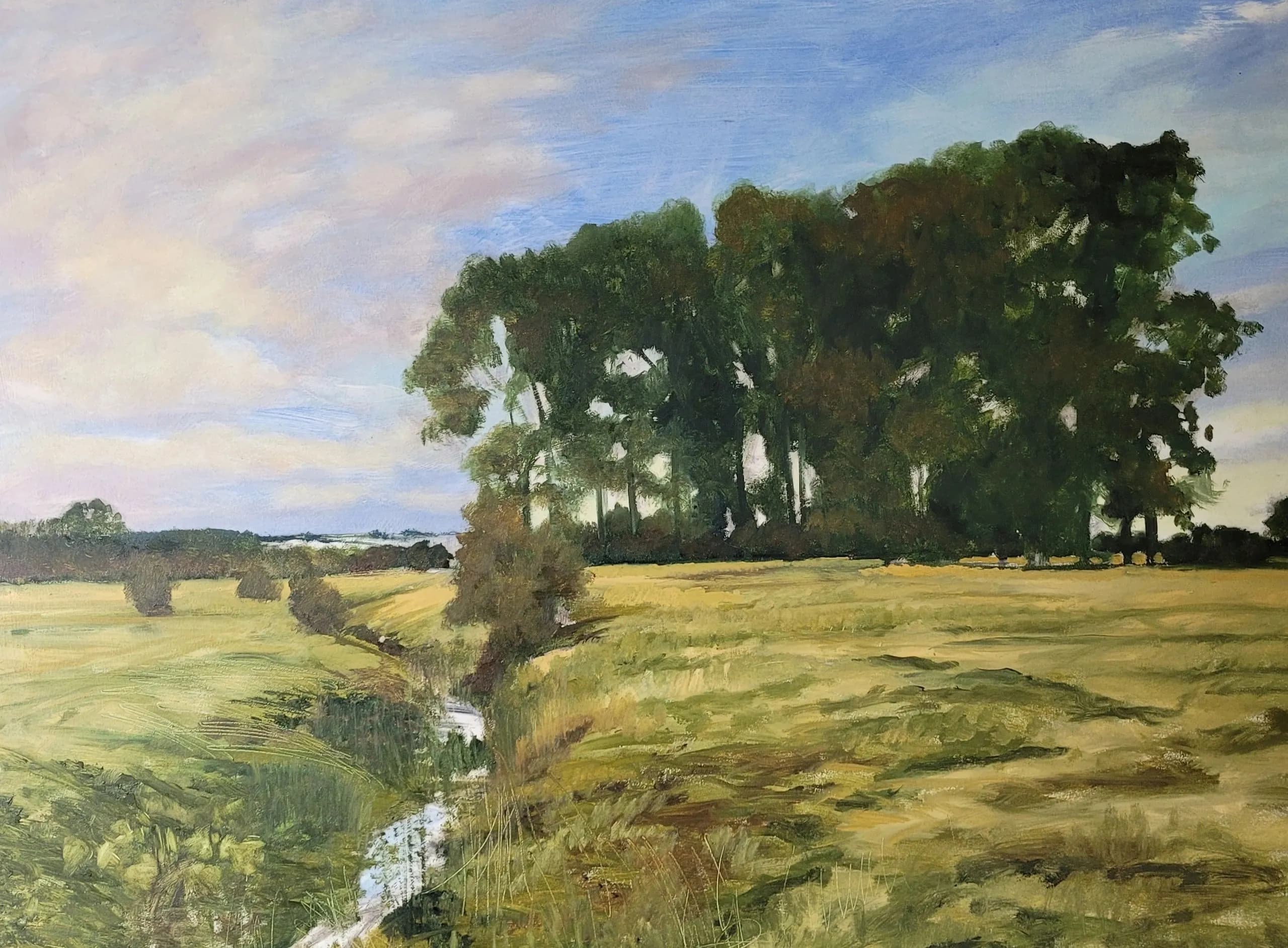 Stream Near Brixworth